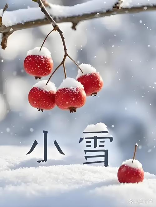 写给“小雪”·三首（新韵）作者：姚树学（图3）