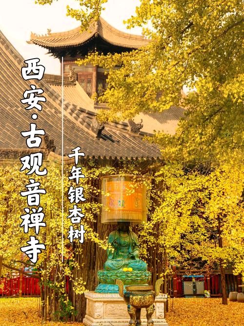 【诗词鉴赏】张富贵：参观长安古观音禅寺及千年银杏树抒怀（组诗3首）北京头条.西安头条.都市头条发布！（图22）
