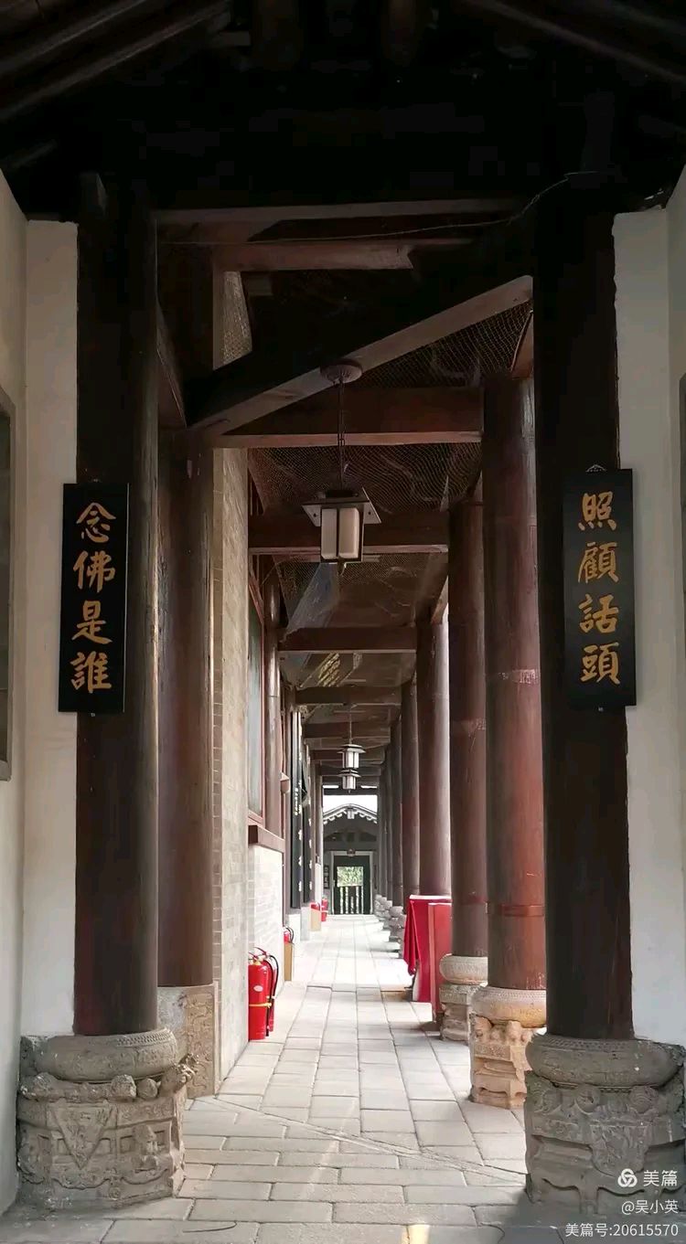 【诗词鉴赏】张富贵：参观长安古观音禅寺及千年银杏树抒怀（组诗3首）北京头条.西安头条.都市头条发布！（图19）