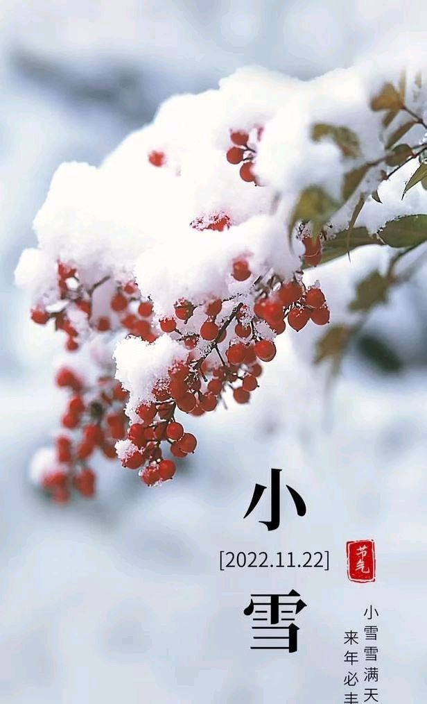 小雪（外一首）