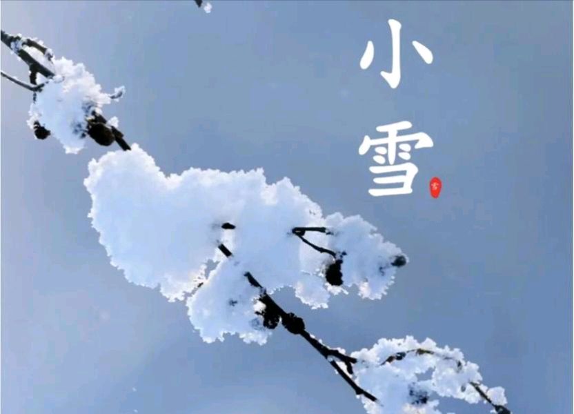 【散文】《小雪: 寒英初绽,万物归藏》作者:强军/陕西宝鸡(图4)