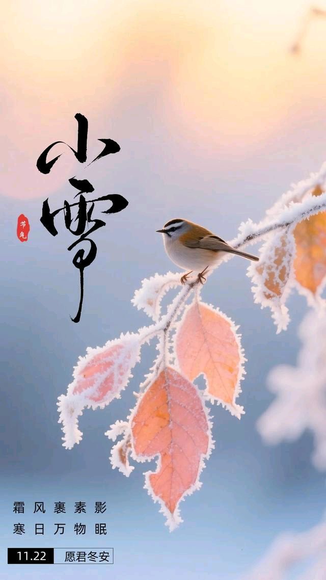 聆听 ‖ 王宏朗诵《小雪八绝》作者/吴万瑞（图8）