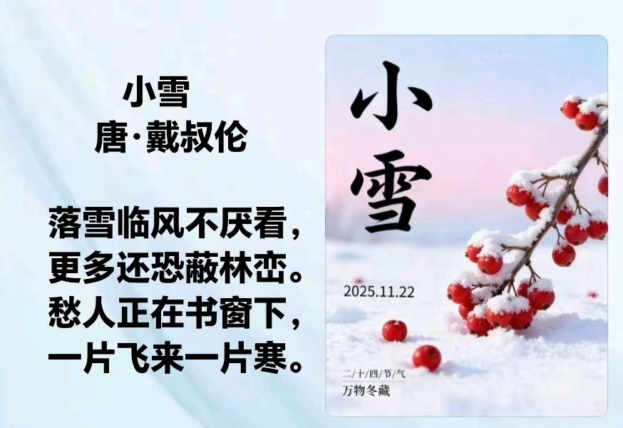 艳阳天（西河柳）//《今日小雪》诗一首（图3）