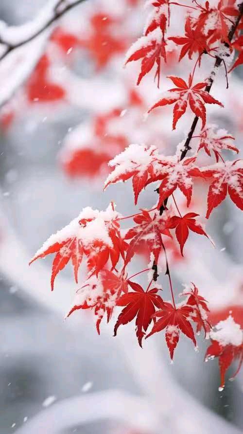 乙巳小雪诗三首/潘毅（图10）