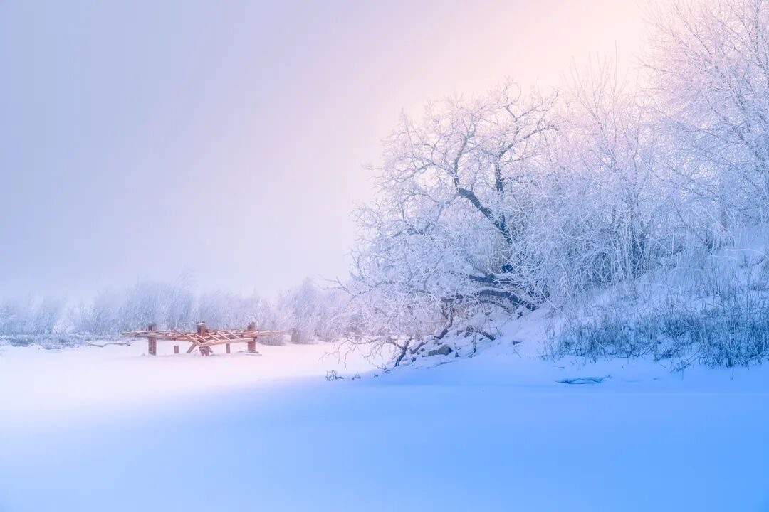 【新诗大观】小雪节气遐思雪||文/张道发（图3）