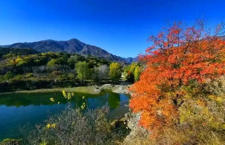 车云侠专辑（74）秋霁山行/主播：琴儿（图4）