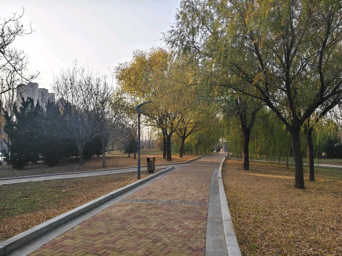【故道文化·古风·7650】张荣岐诗作二首（图3）