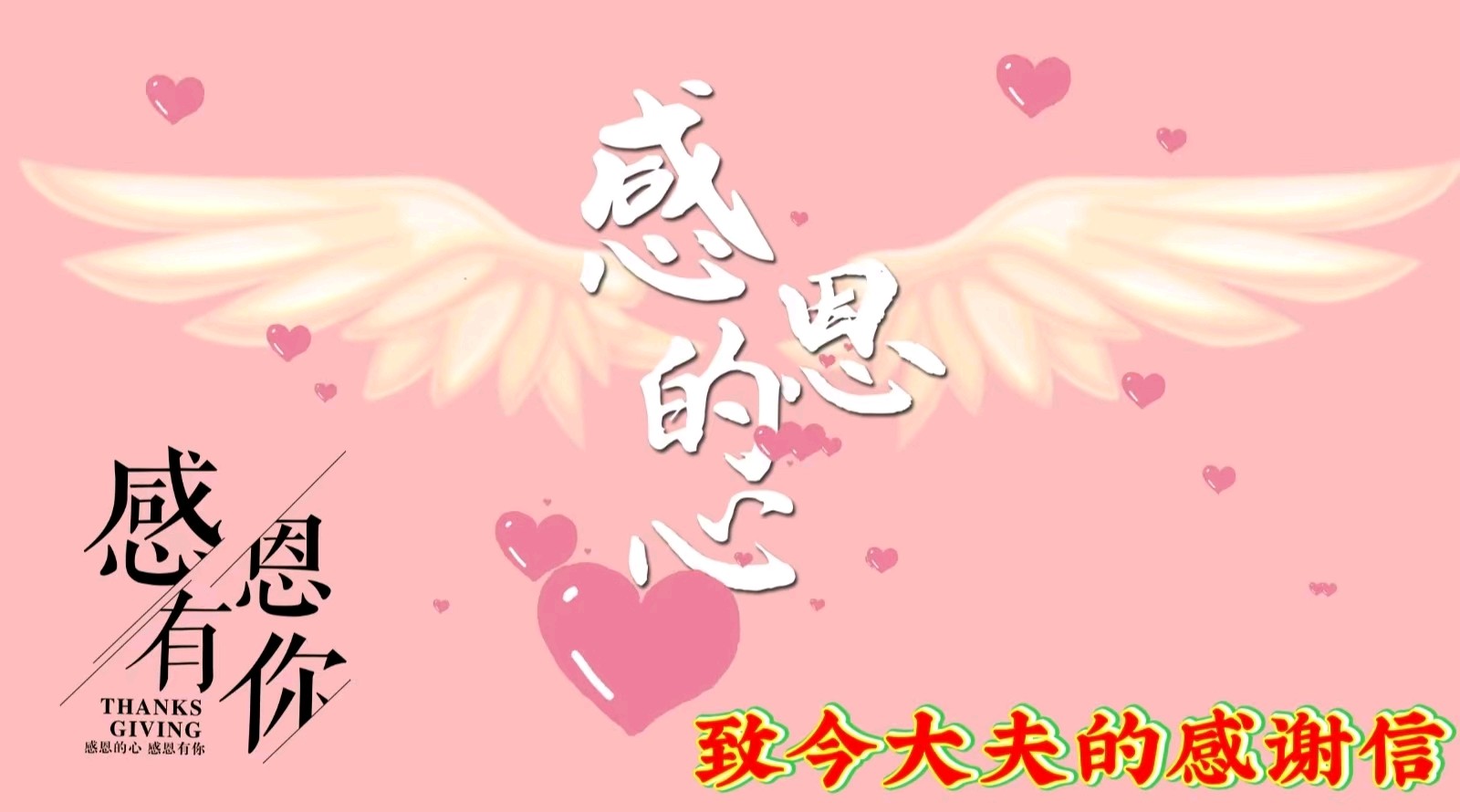 致金大夫的感谢信 作者 主播：海水清清