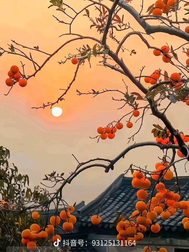 《七绝 • 咏雪》外一首/文/杨子钦（河南）（图3）