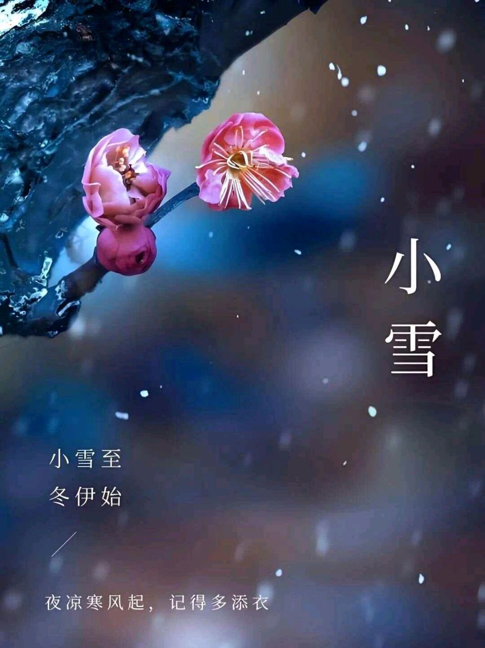 推荐丨梁淑琴（琴韵）秋冬雅韵诗辑（图6）