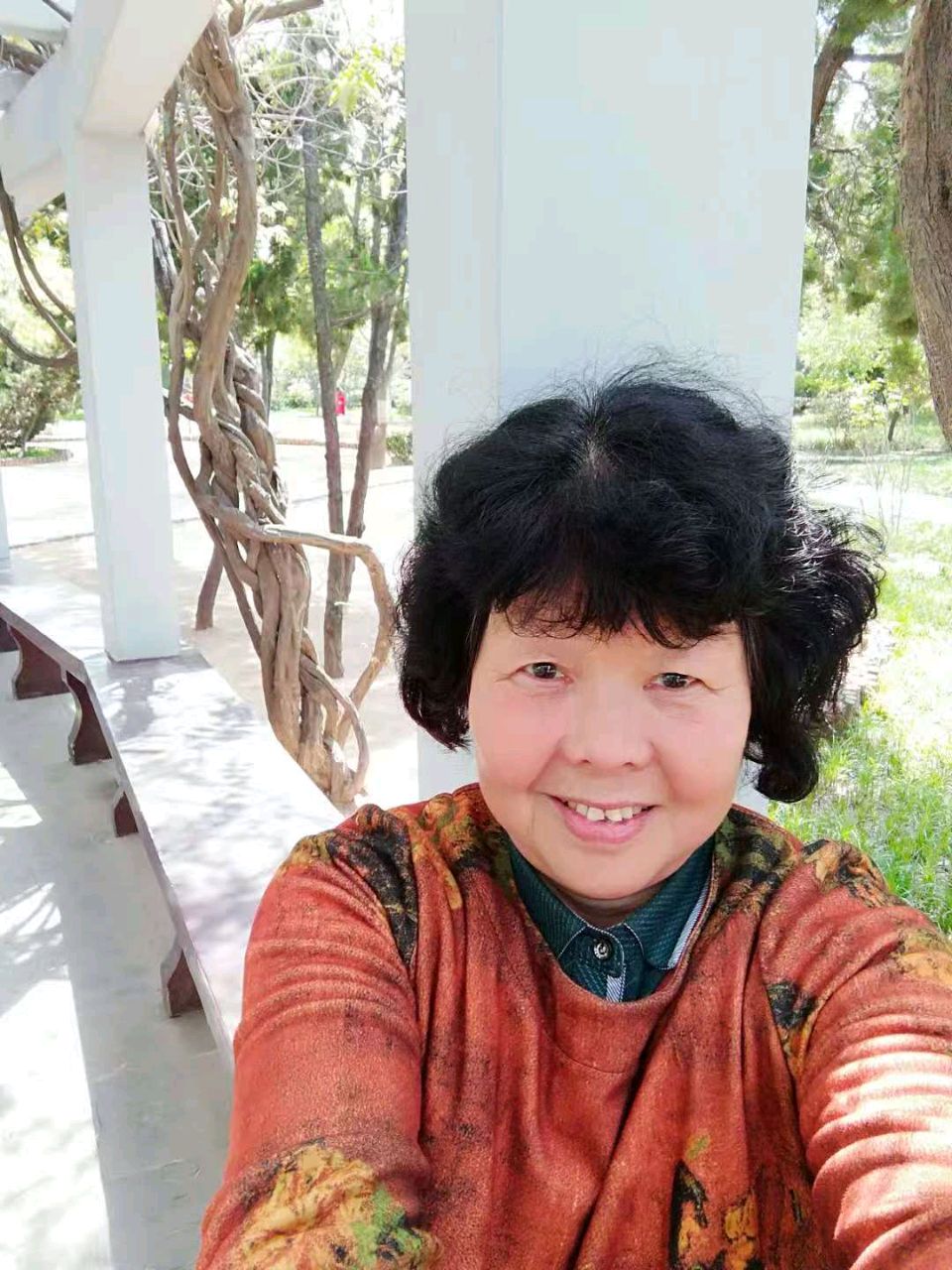 梦境/金妮
