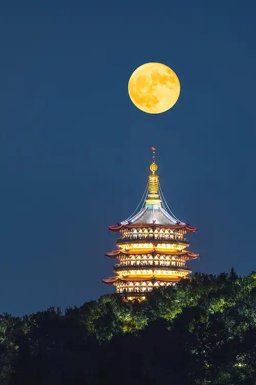 《五千文明照环宇》作者/师永德