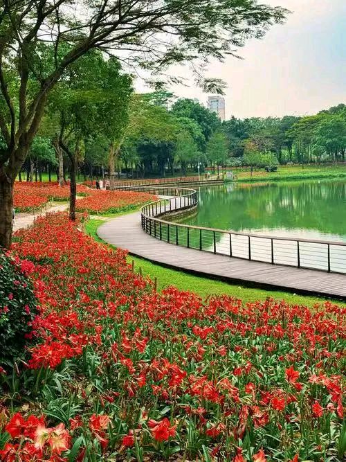 【荣耀中国】文学社*自由体《廉洁从政当清官》作者Ⅱ高新文（图4）