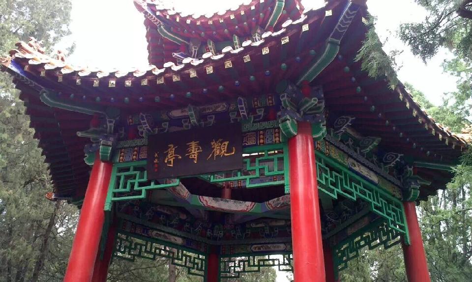 寻根之旅青州行（图17）