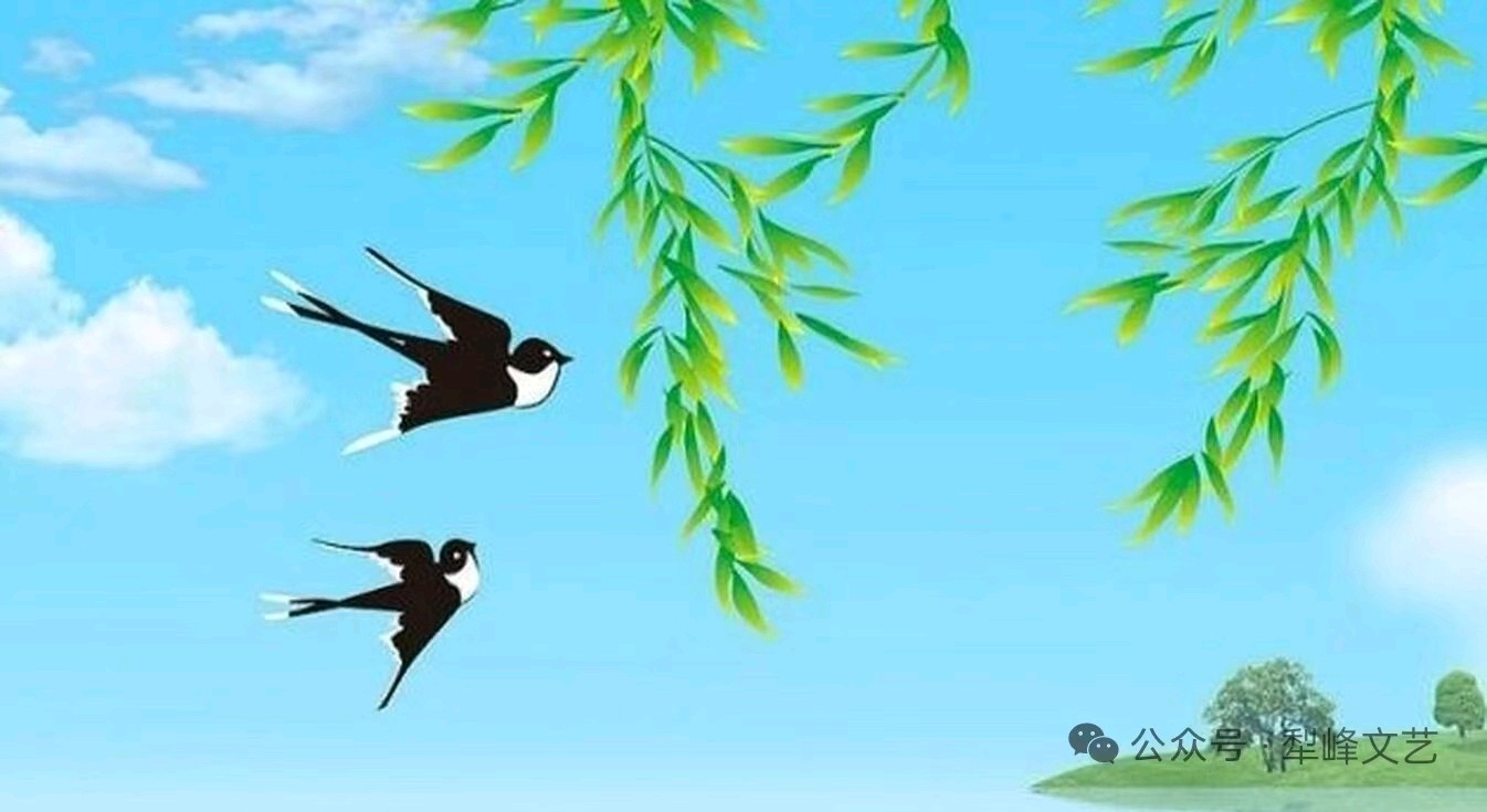 【我是一阵风】作者天犁 朗诵者家明