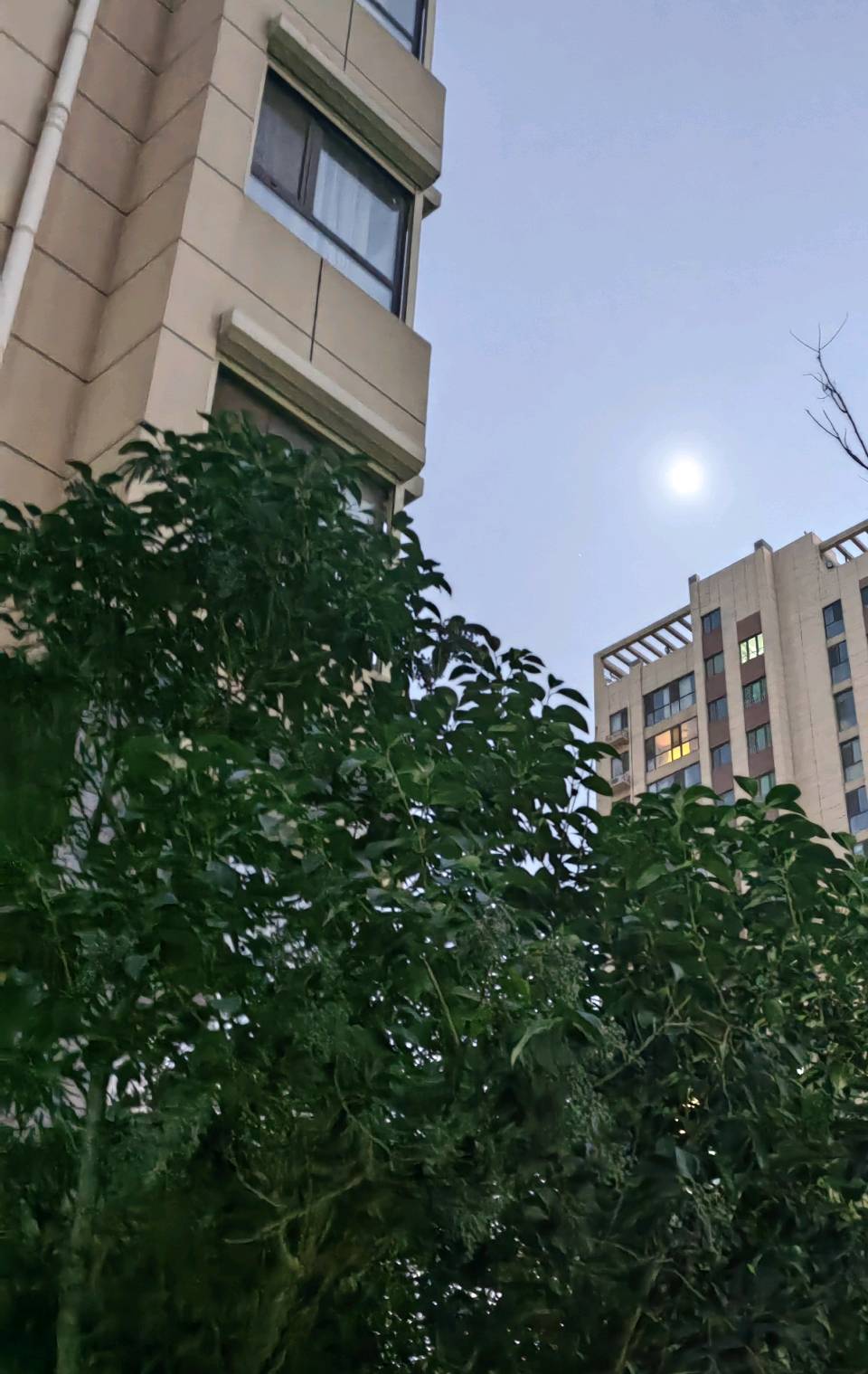 半个月亮🌙.（图6）