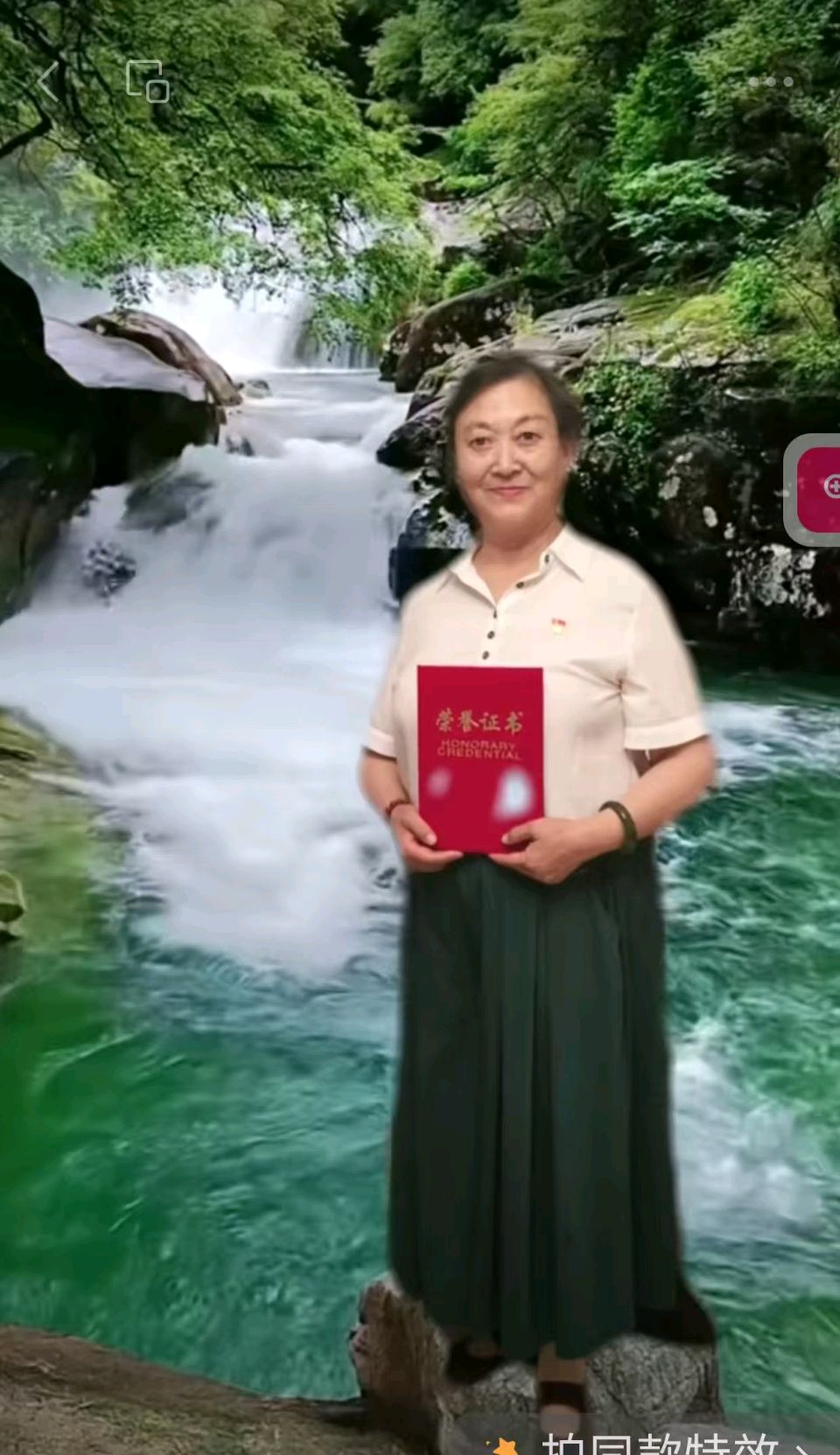 艳阳天（西河柳）//双徒同事媛成礼（图6）