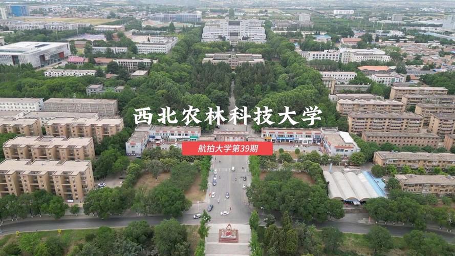 【散文】《稷下新风里,农科映九州》作者: 强军/陕西宝鸡(图10)