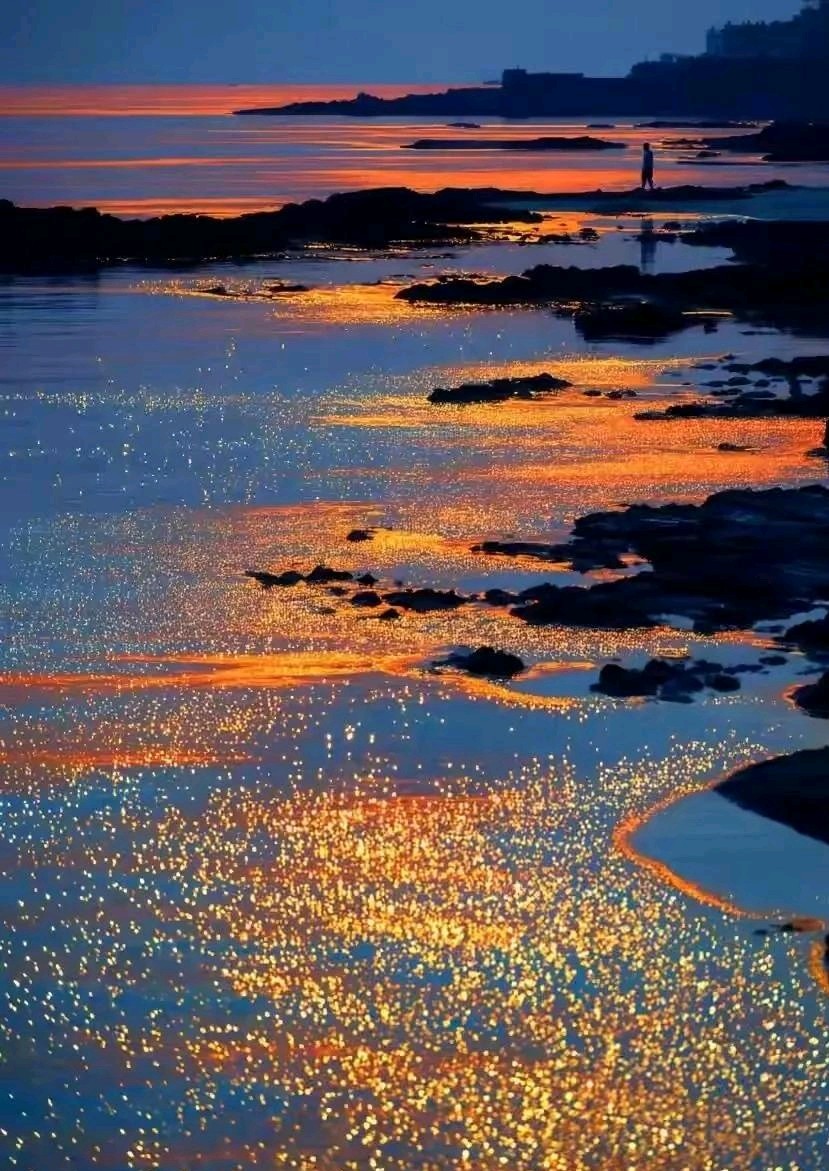 洱海金色水岸.（图6）