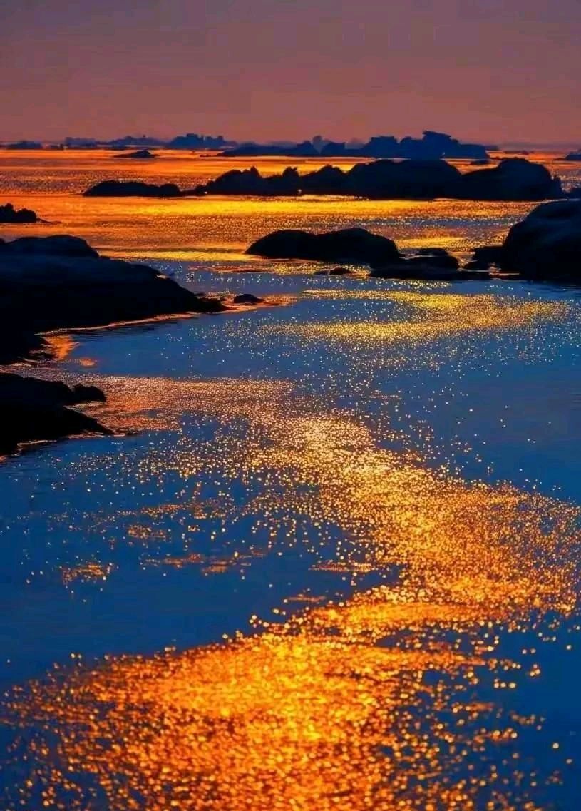 洱海金色水岸.（图4）