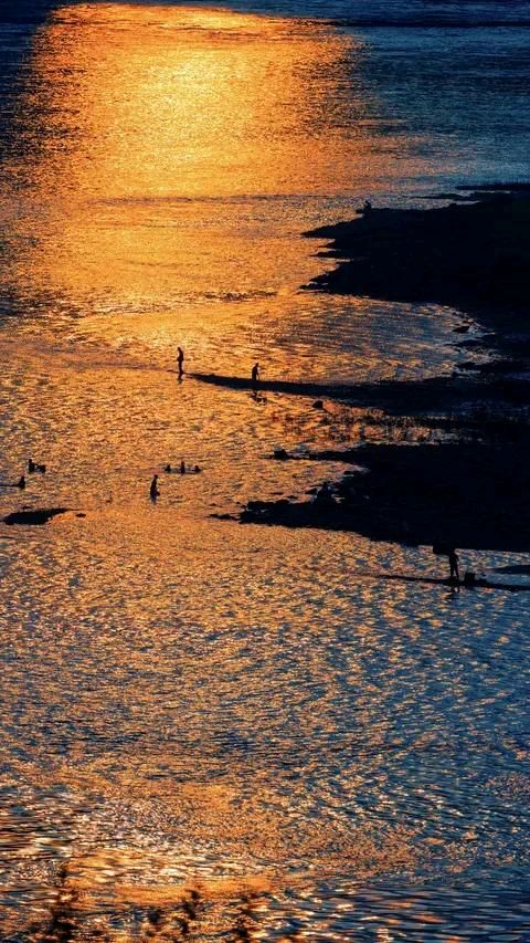洱海金色水岸.（图7）