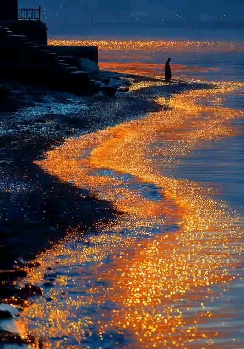 洱海金色水岸.（图3）