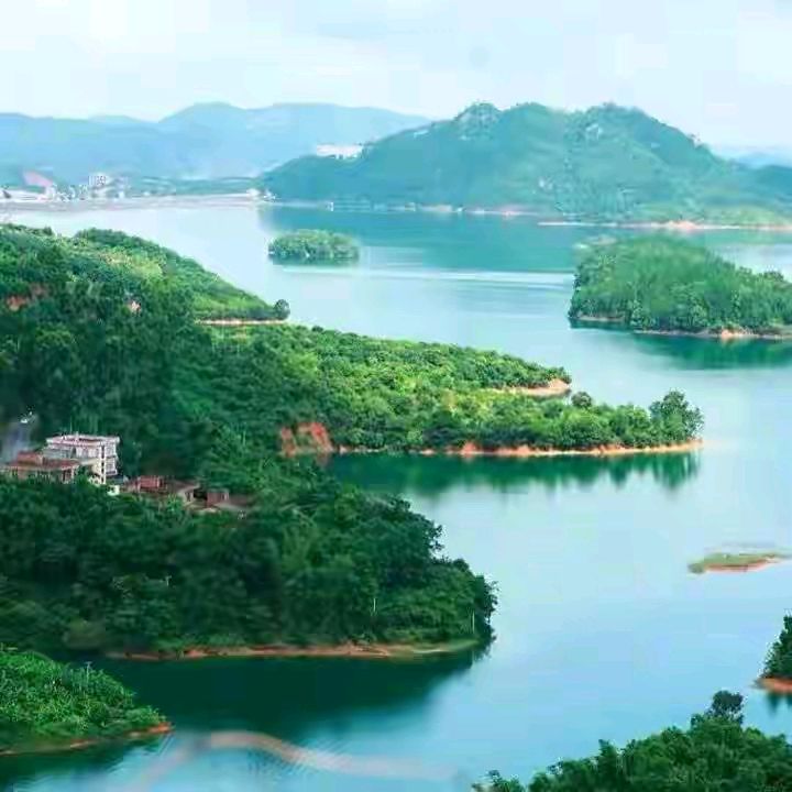 《归来吧台湾！》作者：何全兴 耿文良曲 [中国现代诗歌文化传媒推荐]（图4）
