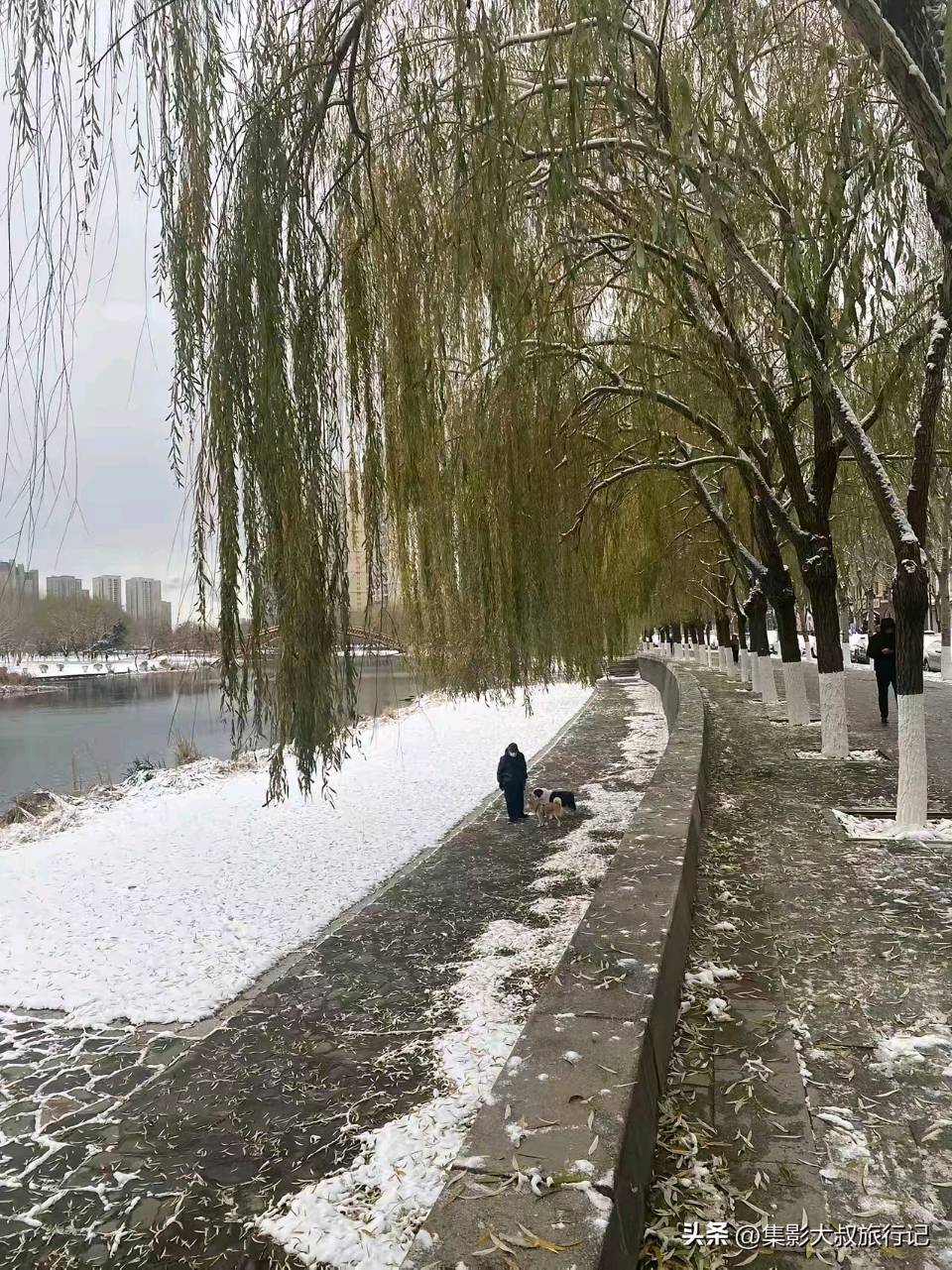《七律，雪后的林荫路》作者：郭小林 [中国现代诗歌文化传媒推荐]（图5）