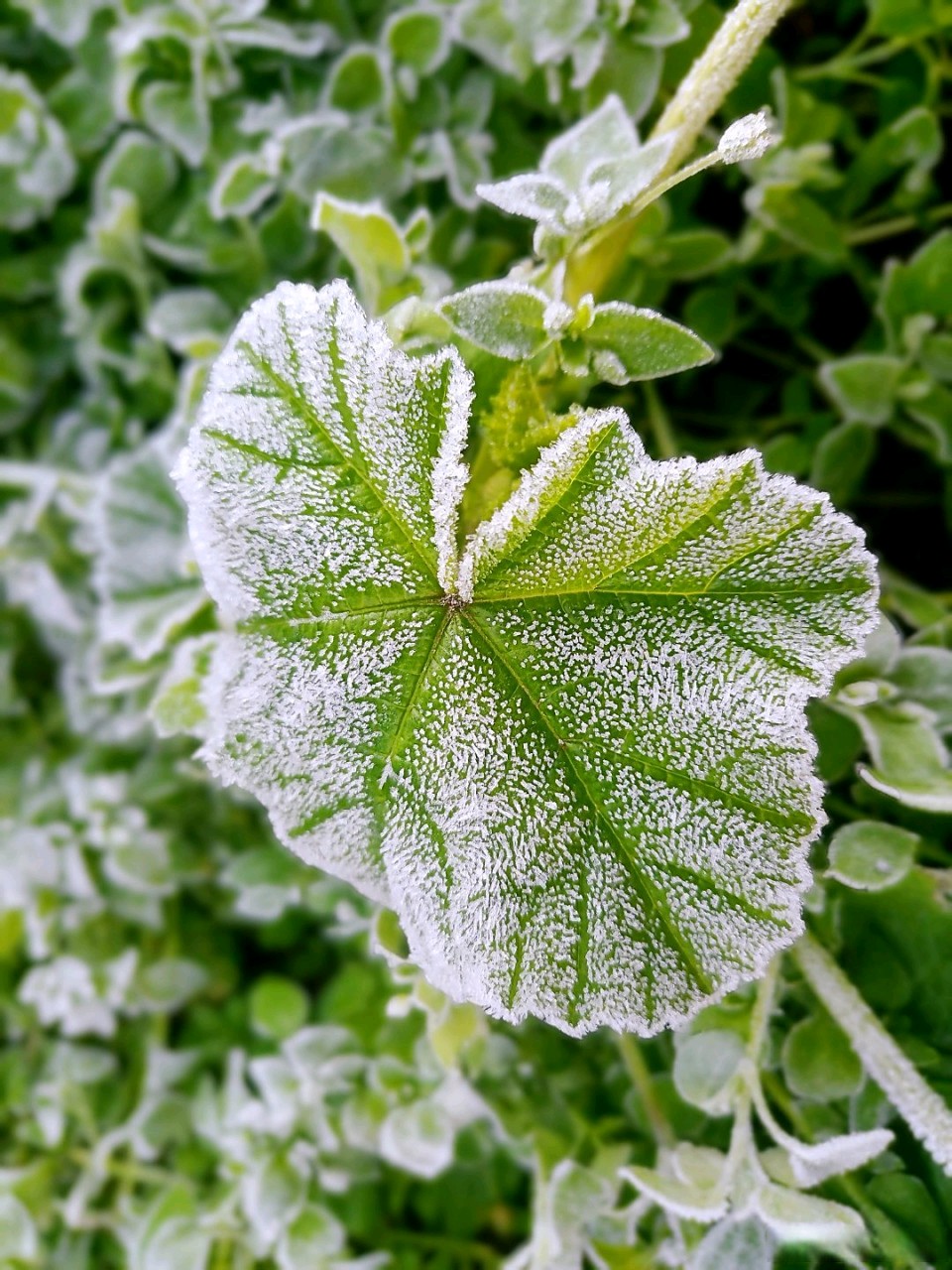 源流诗纪|诗词专辑第438期（十首）