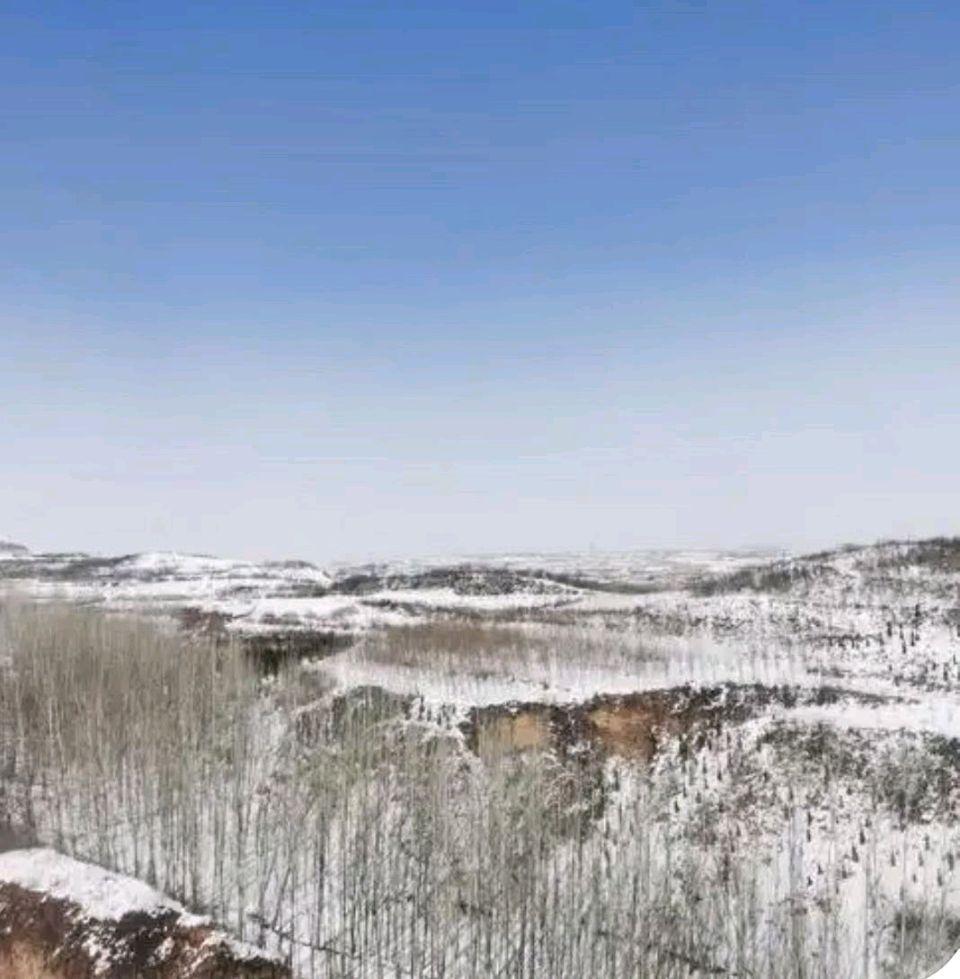 【荣耀中国】文学社*五绝 寒冬天文/南山翁（图7）