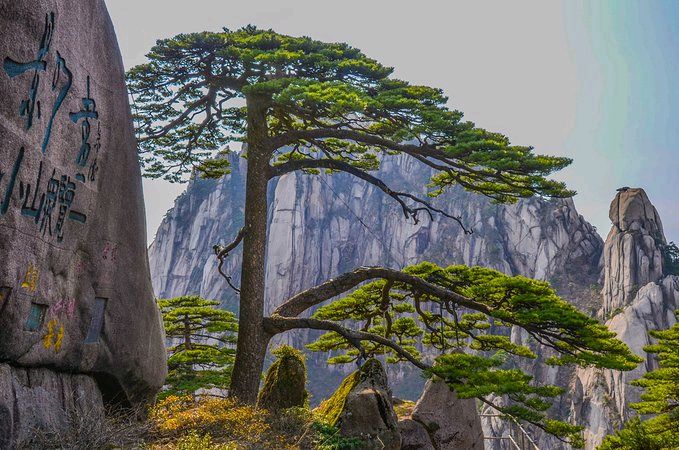 【荣耀中国】深圳分社*七律•不屈不挠曹操（新韵）文/林典宋（图4）