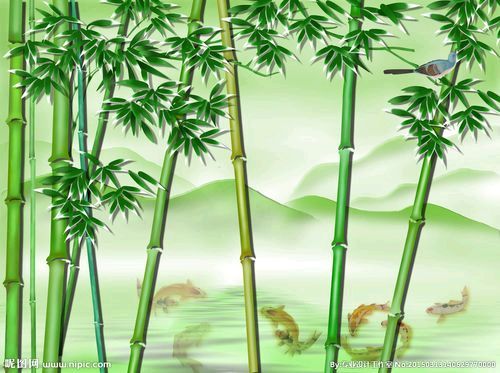 《七律：晨过小竹林》文/梁兆智——山东诗人