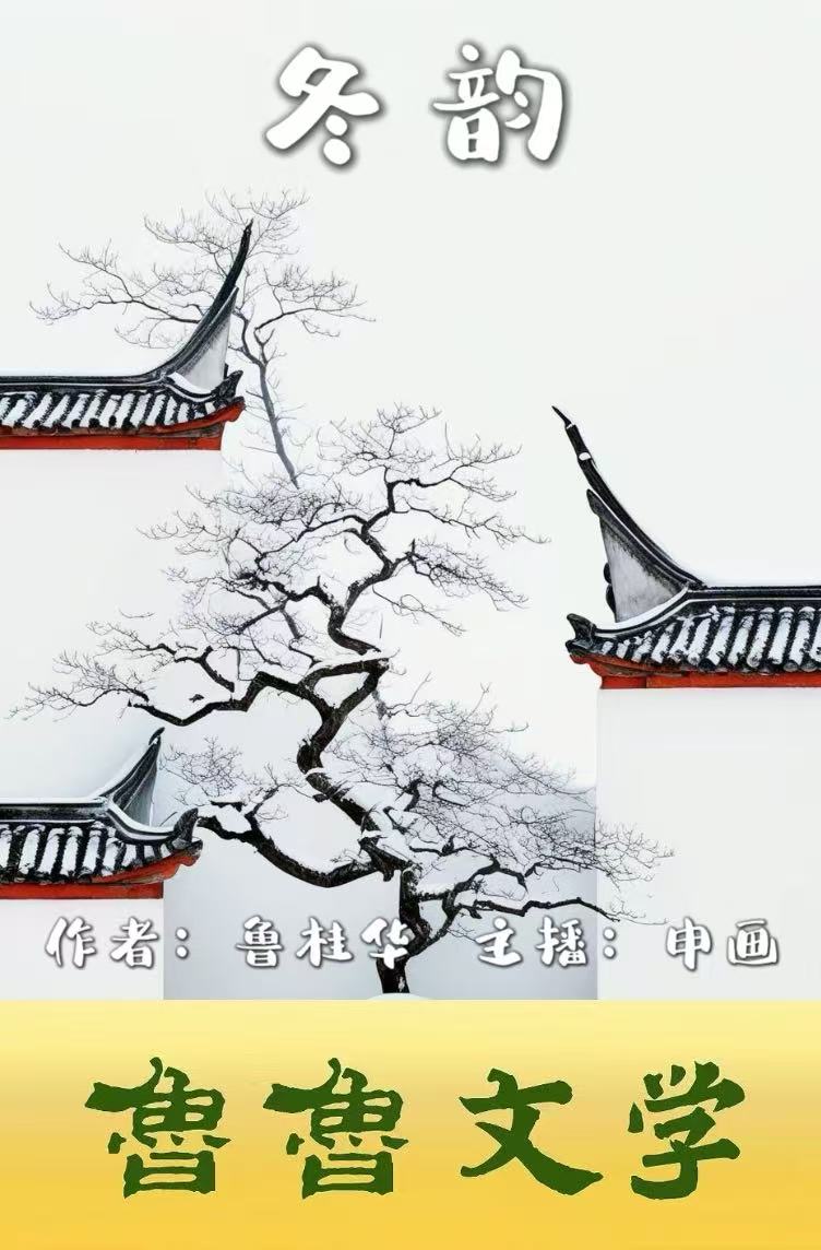 封面 封面