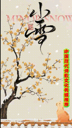 《当代诗人创作当代诗几首》作者：红蝴蝶 [中国现代诗歌文化传媒推荐]（图11）