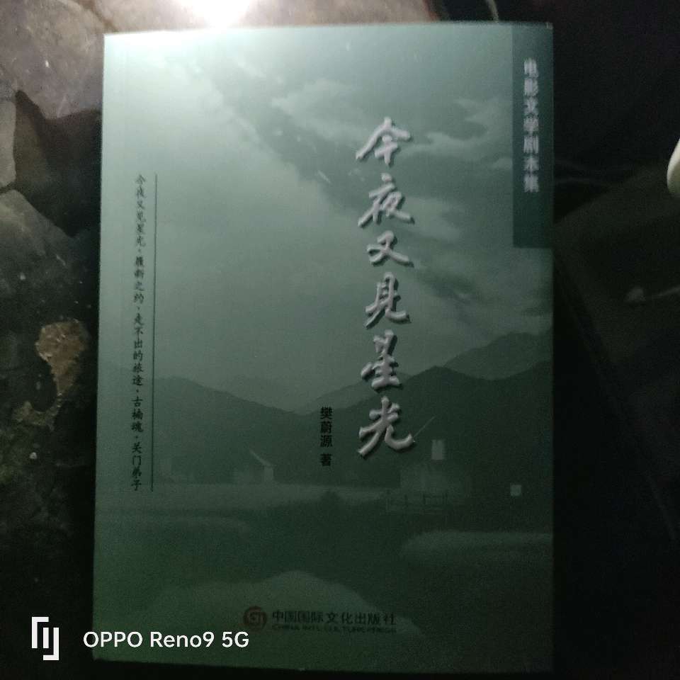 赣南文化人拜望当代著名文艺家樊蔚源先生(图9)