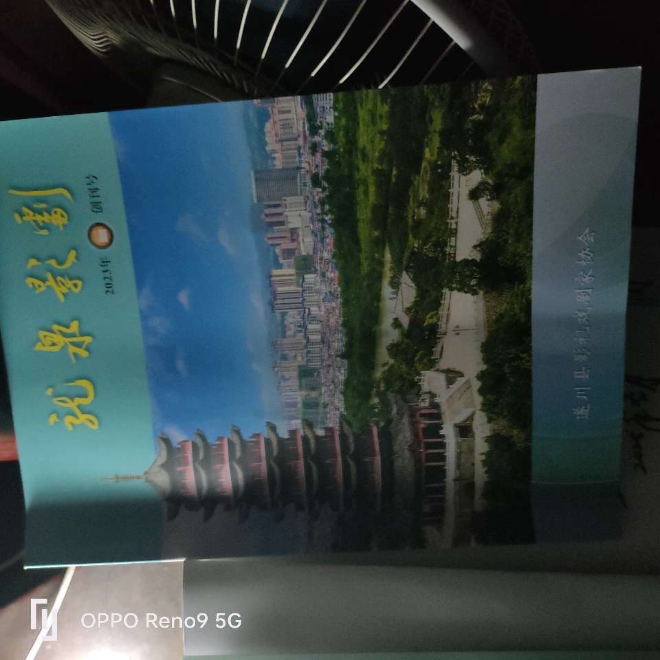 赣南文化人拜望当代著名文艺家樊蔚源先生(图10)