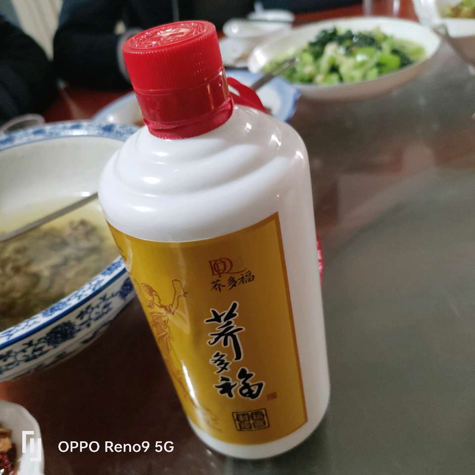 赣南文化人拜望当代著名文艺家樊蔚源先生(图24)