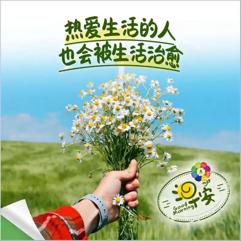 ［配音诵读］热爱生活，是治愈自己的良药//文/天地//朗诵/娟子