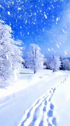 【中国诗人】第851篇（名家风采）大雪（诗三首）//容止若思（辽宁）（图4）