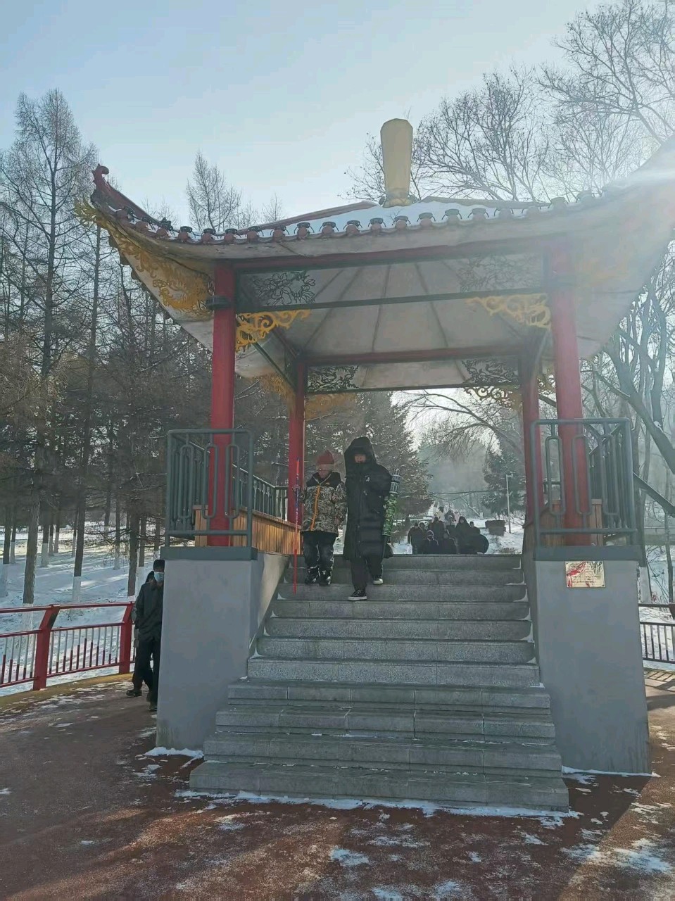 写给大雪的诗句 作者：姚树学（图8）