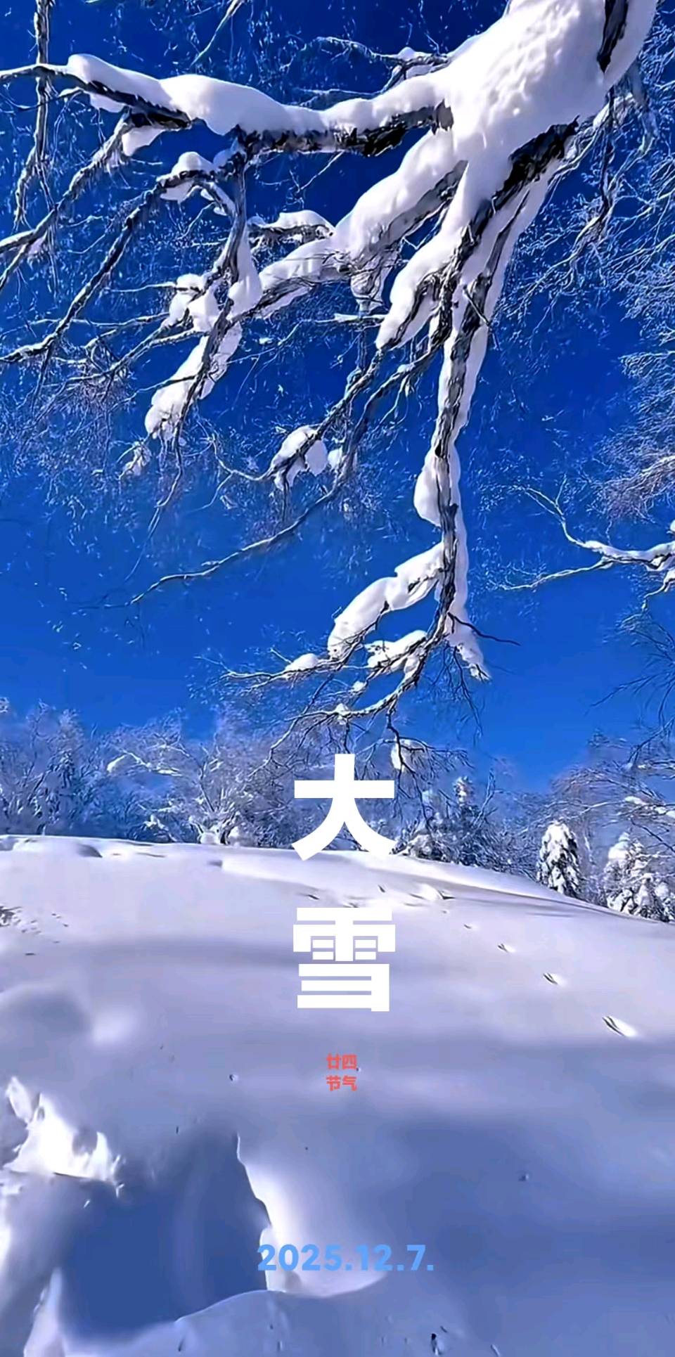 七律《大雪时节》文/潘毅