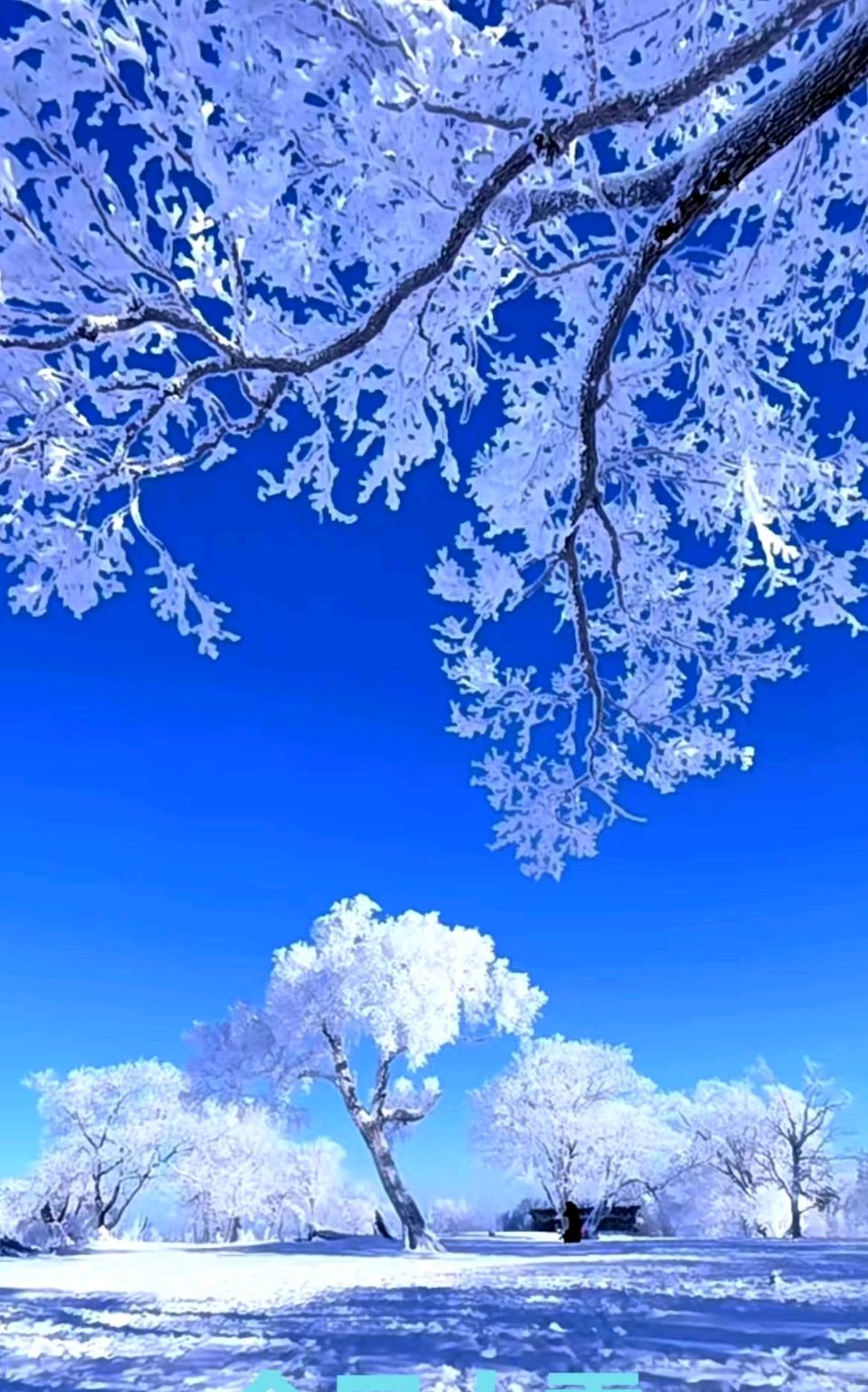 七律《大雪时节》文/潘毅（图2）