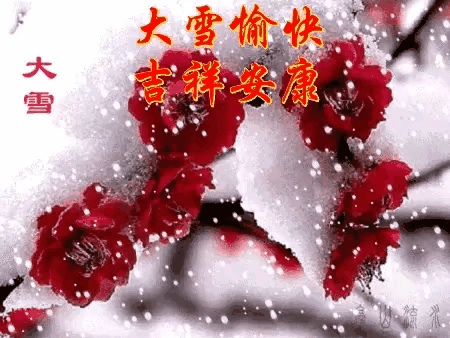 【大雪节气专刊】《中华好诗词、东方文学荟萃和天阳诗友会》联合呈献大雪主题优秀诗词作品专辑(图13)