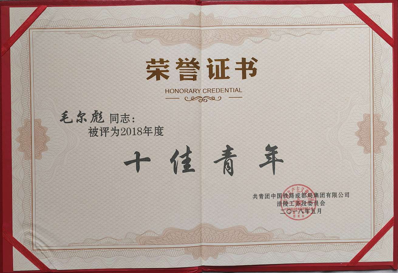 「成铁好青年」钢轨为证 初心如磐——记首届“成铁好青年”原涪陵工务段线路工长毛尔彪（图10）