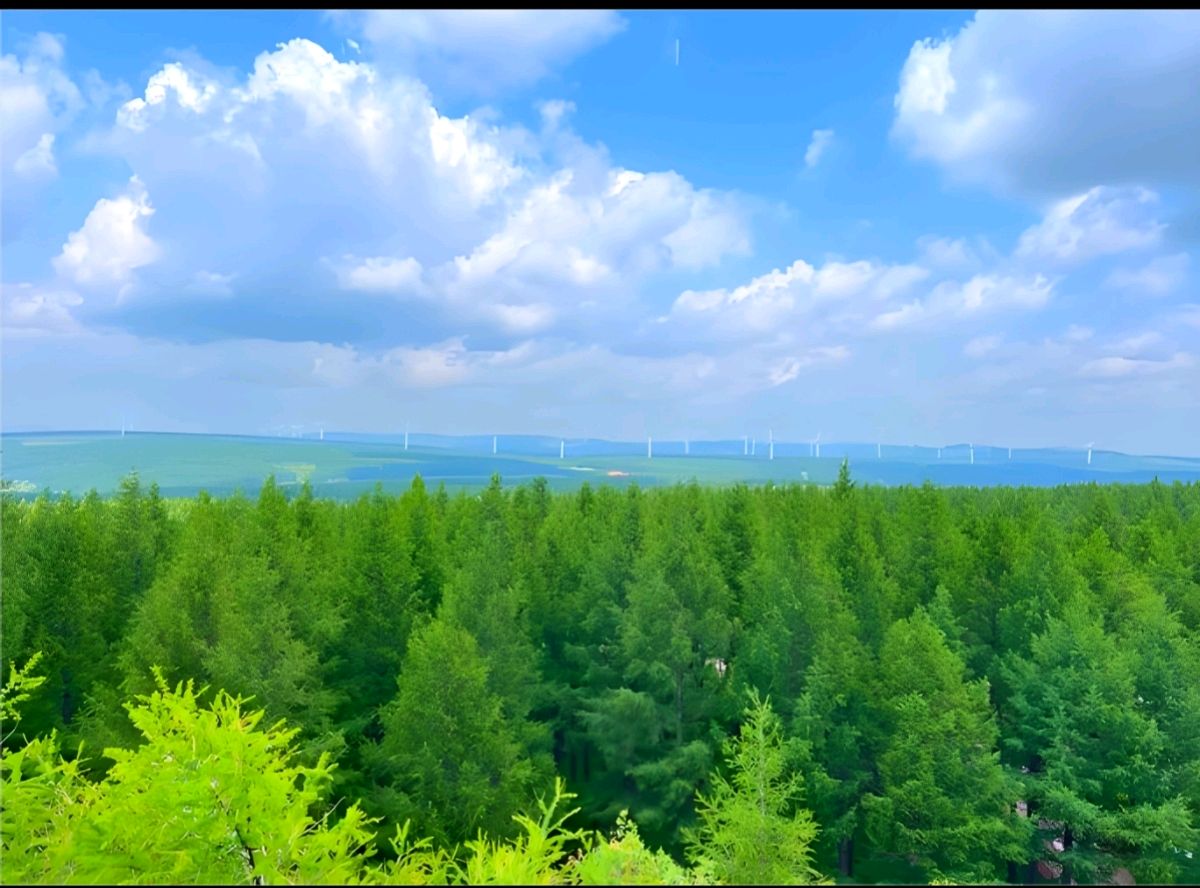 【都市头条向幸福出发编辑部】第14476期 塞罕坝精神 作者 如月 主播 秋歌