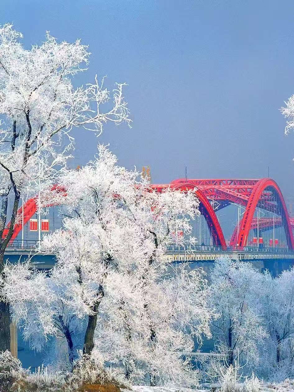 雅萱老师第20期新诗集锦_南海特区头条（图8）