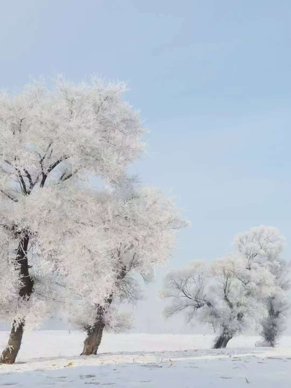 雅萱老师第20期新诗集锦_南海特区头条（图10）