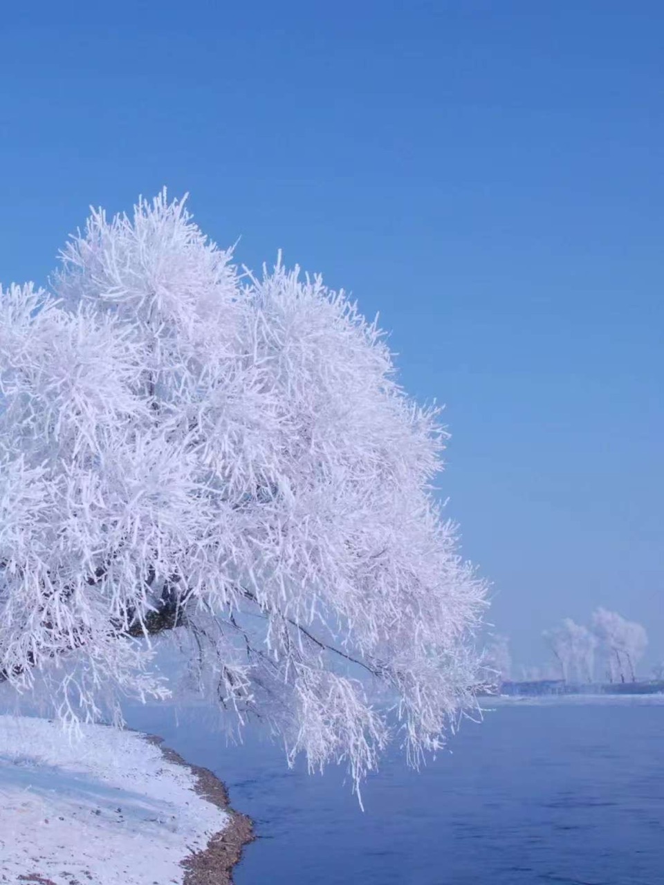 雅萱老师第20期新诗集锦_南海特区头条（图9）