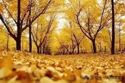 雅萱老师第20期新诗集锦_南海特区头条（图13）