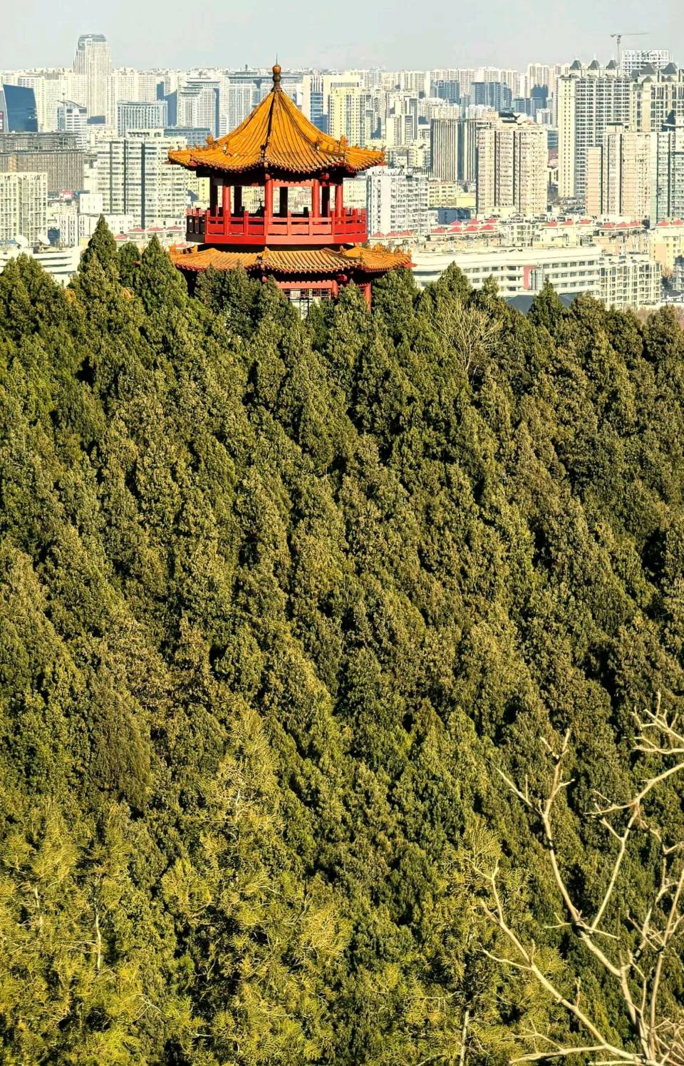 英雄山的早晨（图5）